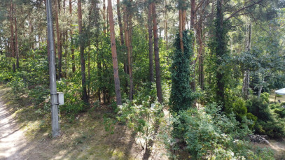 Działka Sprzedaż Wola Chodkowska