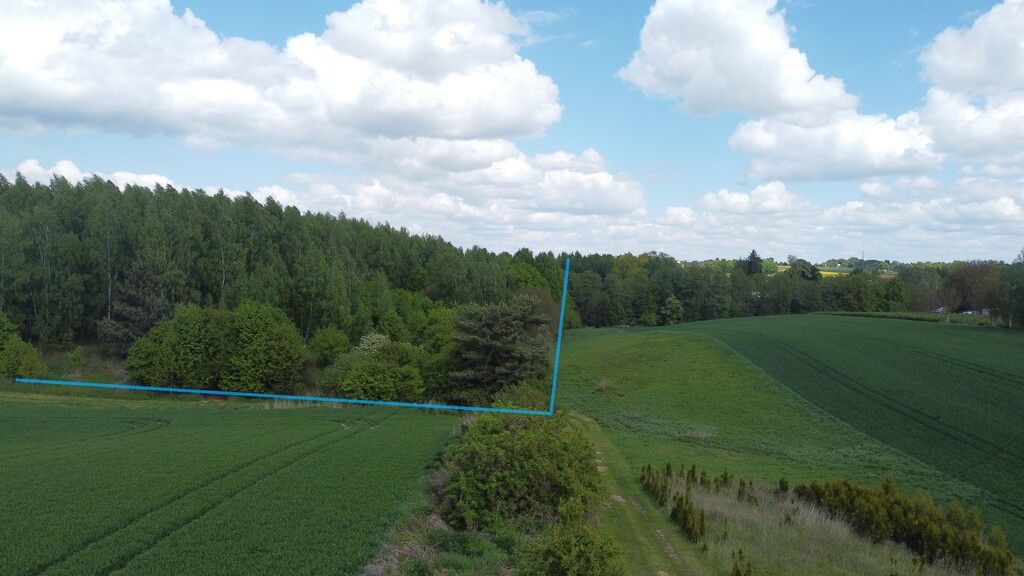 Działka Sprzedaż Chruszczów-Kolonia