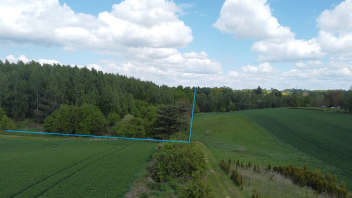 Działka Sprzedaż Chruszczów-Kolonia 1