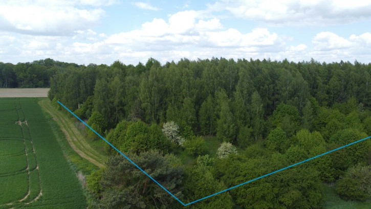 Działka Sprzedaż Chruszczów-Kolonia 3