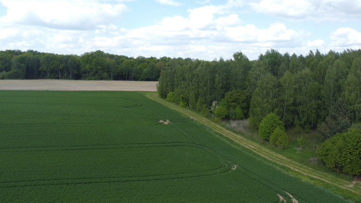 Działka Sprzedaż Chruszczów-Kolonia 4