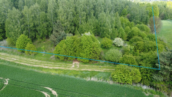 Działka Sprzedaż Chruszczów-Kolonia 5