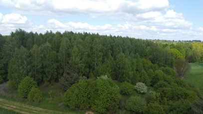Działka Sprzedaż Chruszczów-Kolonia