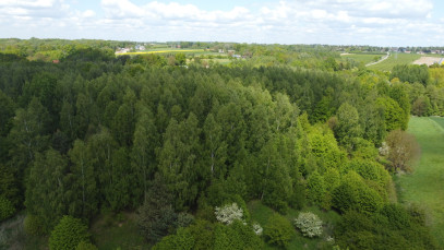 Działka Sprzedaż Chruszczów-Kolonia