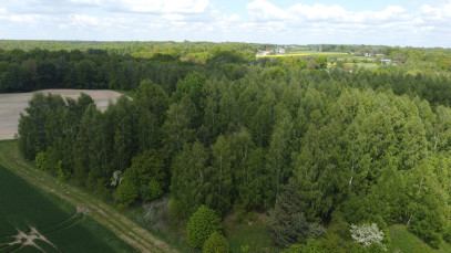 Działka Sprzedaż Chruszczów-Kolonia