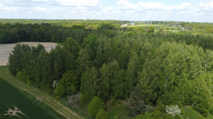 Działka Sprzedaż Chruszczów-Kolonia 11
