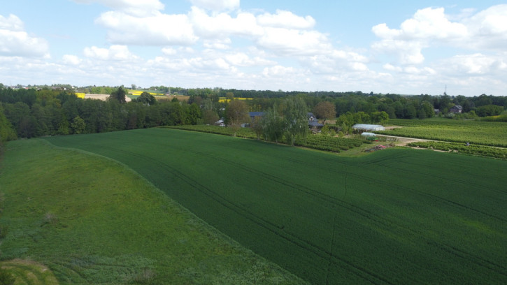 Działka Sprzedaż Chruszczów-Kolonia 12