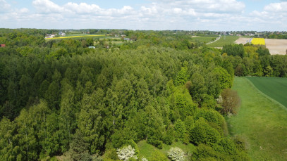 Działka Sprzedaż Chruszczów-Kolonia