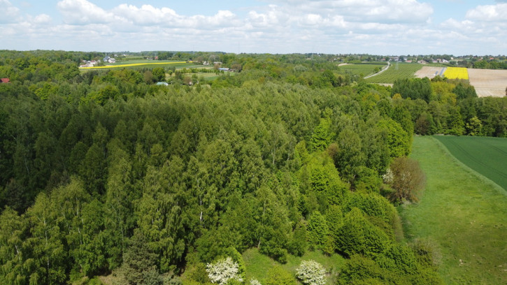Działka Sprzedaż Chruszczów-Kolonia 15
