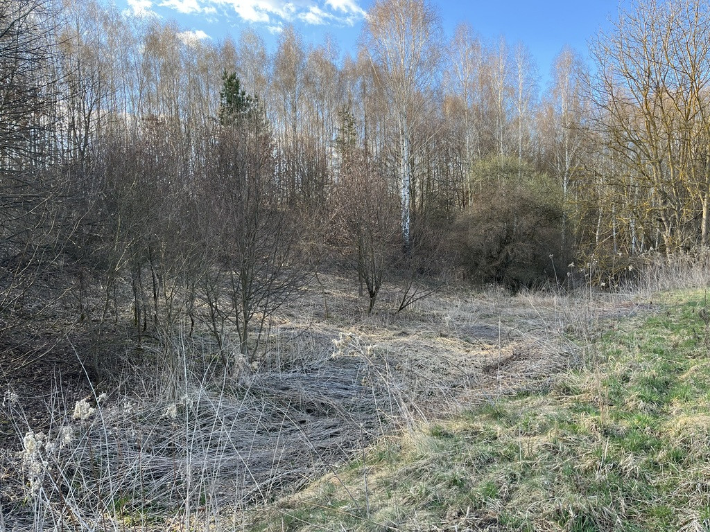Działka Sprzedaż Chruszczów-Kolonia