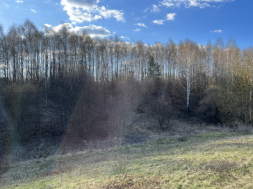 Działka Sprzedaż Chruszczów-Kolonia