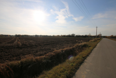 Działka Sprzedaż Sobolew-Kolonia