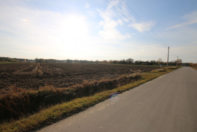 Działka Sprzedaż Sobolew-Kolonia