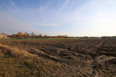 Działka Sprzedaż Sobolew-Kolonia