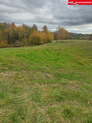 Działka Sprzedaż Tuchów Daleka 26