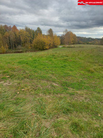 Działka Sprzedaż Tuchów Daleka