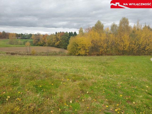 Działka Sprzedaż Tuchów Daleka 26