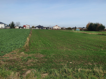 Działka Sprzedaż Bujny Adama Mickiewicza