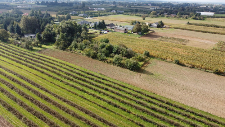 Działka Sprzedaż Motycz 4