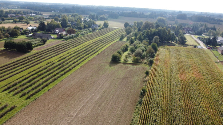 Działka Sprzedaż Motycz 8