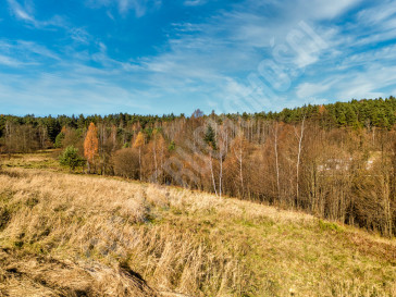 Działka Sprzedaż Stryszawa