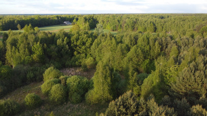 Działka Sprzedaż Nowy Kawęczyn