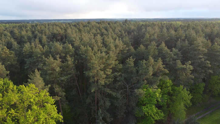 Działka Sprzedaż Nowy Kawęczyn 26