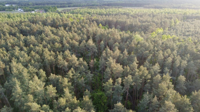 Działka Sprzedaż Nowy Kawęczyn