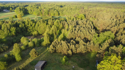 Działka Sprzedaż Nowy Kawęczyn