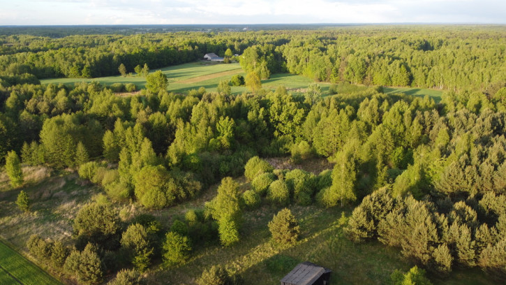 Działka Sprzedaż Nowy Kawęczyn 12