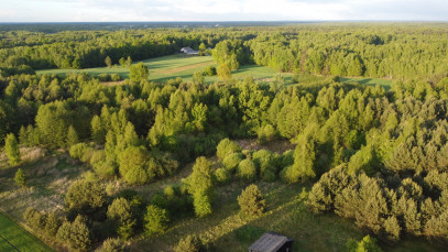 Działka Sprzedaż Nowy Kawęczyn
