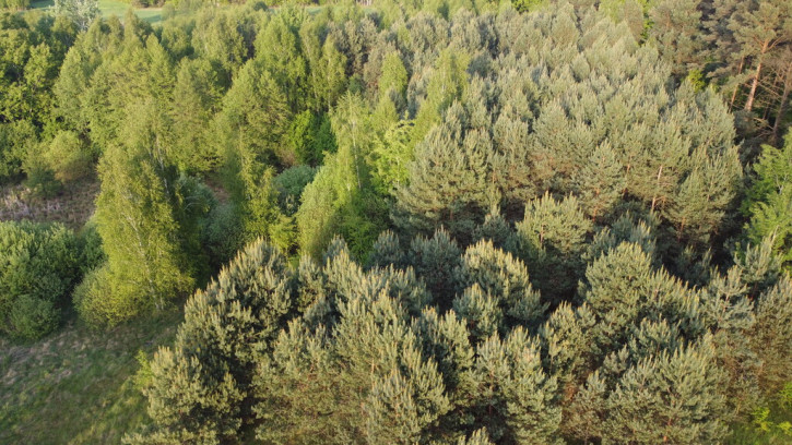 Działka Sprzedaż Karolów 22