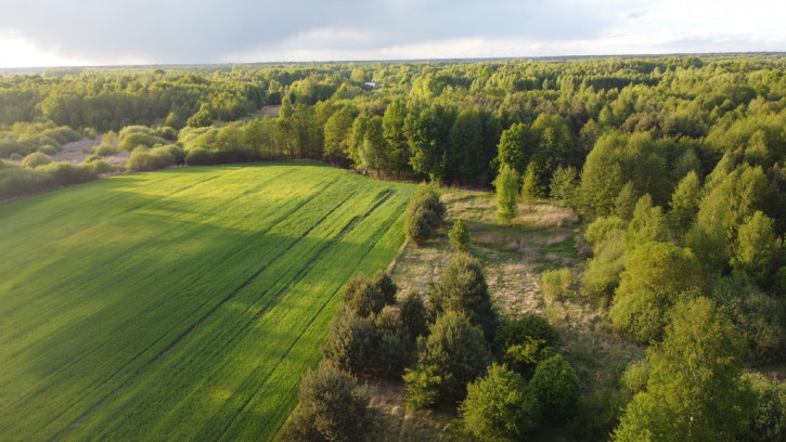 Działka Sprzedaż Karolów 6