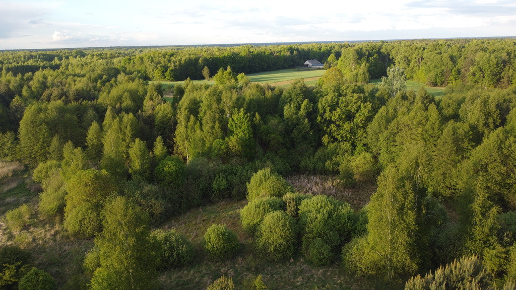 Działka Sprzedaż Karolów