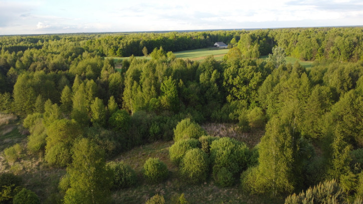 Działka Sprzedaż Karolów 24