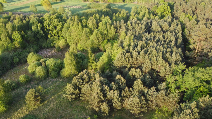 Działka Sprzedaż Karolów 8