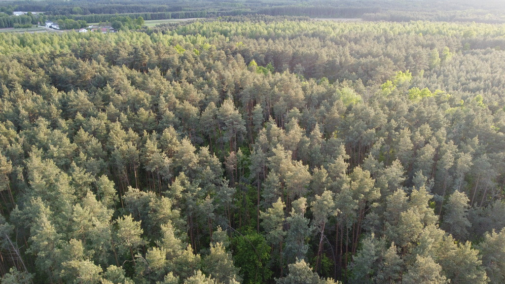 Działka Sprzedaż Karolów
