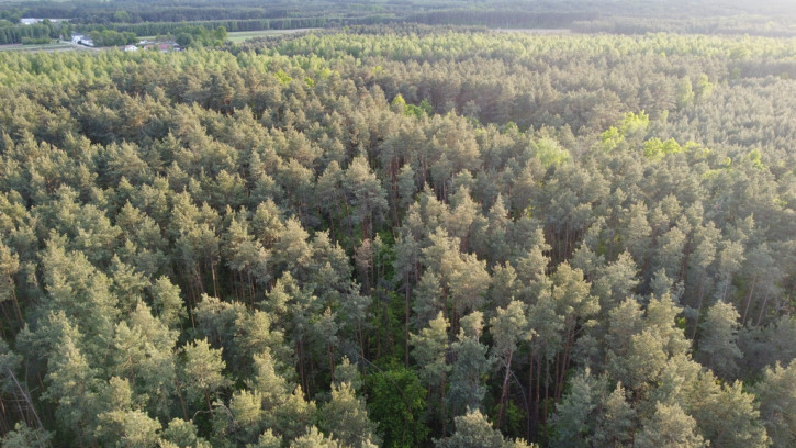 Działka Sprzedaż Karolów 27