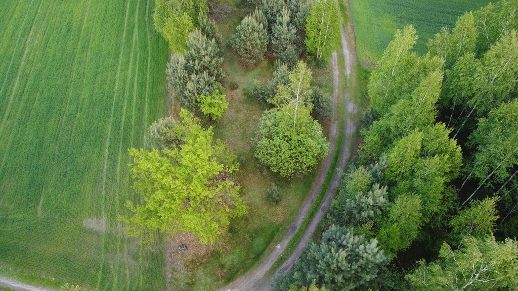 Działka Sprzedaż Karolów
