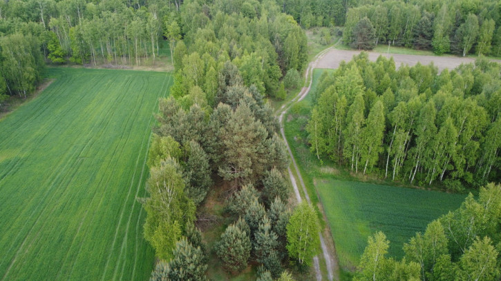 Działka Sprzedaż Karolów 4