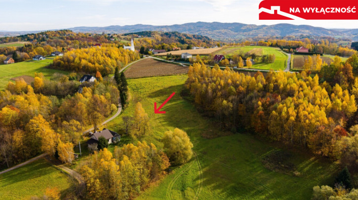 Działka Sprzedaż Meszna Opacka 6