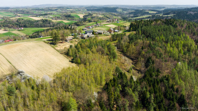 Dom Sprzedaż Jastrzębia