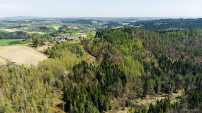 Dom Sprzedaż Jastrzębia