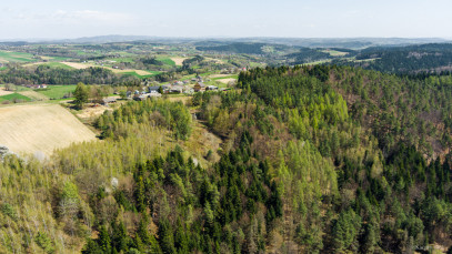 Dom Sprzedaż Jastrzębia