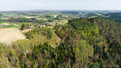 Dom Sprzedaż Jastrzębia