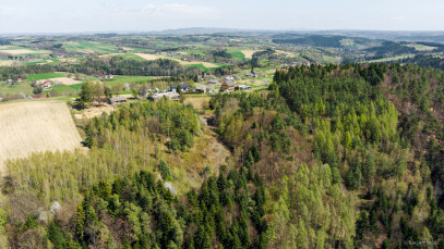 Dom Sprzedaż Jastrzębia