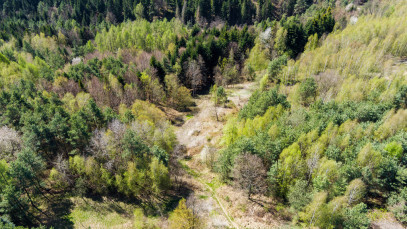 Dom Sprzedaż Jastrzębia