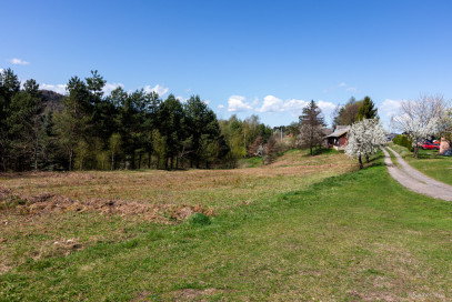 Dom Sprzedaż Jastrzębia