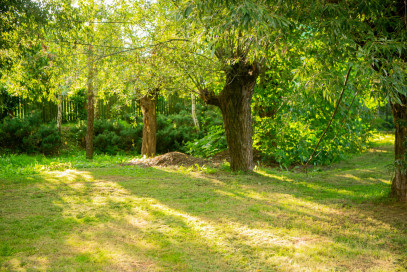 Działka Sprzedaż Łukanowice
