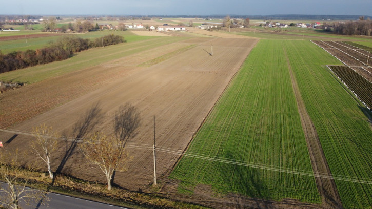 Działka Sprzedaż Helenów 4